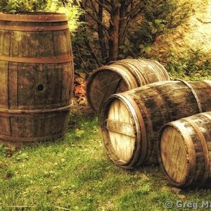 Fine Art Color Photography of Wine Barrels in the Loire Valley of France - &quot;French Wine Barrels 1&quot;