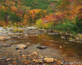 Fine Art Color Landscape Photography of Missouri Ozarks at Johnsons Shut Ins - "Fall Along the Black River 1"