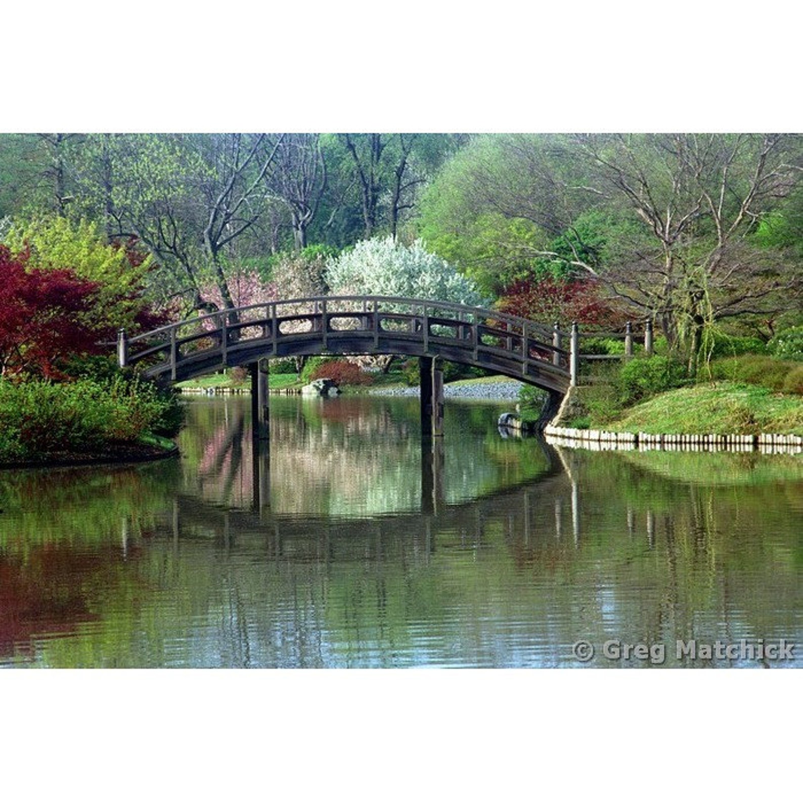 Japanese Bridge Springtime Fine Art Color Landscape Photography of Bridge in Springtime in a ...