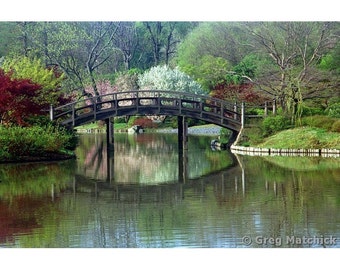 Fine Art Color Landscape Photography of Bridge in Springtime In a Japanese Garden