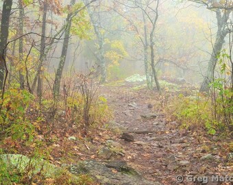 Fine Art Color Landscape Nature Photography of the Missouri Ozarks - "Autumn Fog On the Mina Sauk Trail 1"