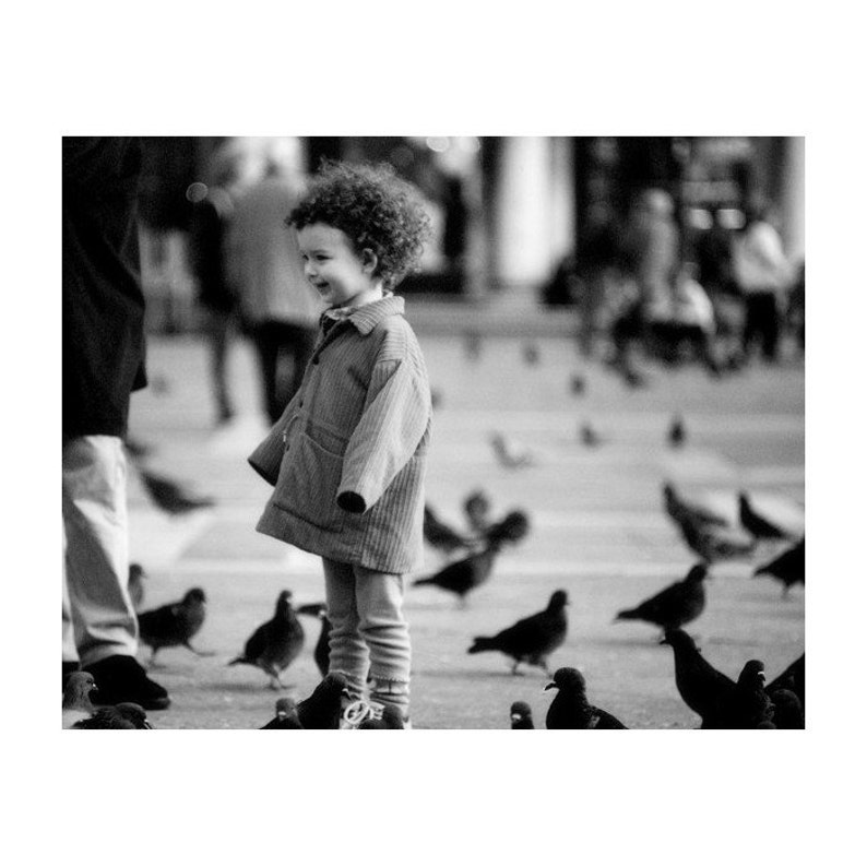 10x8 Print Fine Art Black /& White Venice Photography of Little Girl in Piazza San Marco With Pigeons Curly Top in San Marco