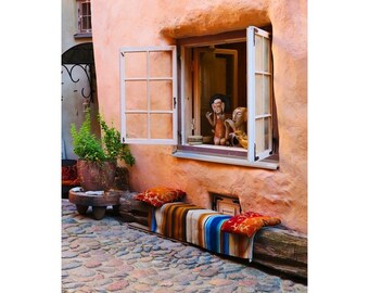 Fine Art Color Photography of Window Seat in a Courtyard in Tallinn Estonia