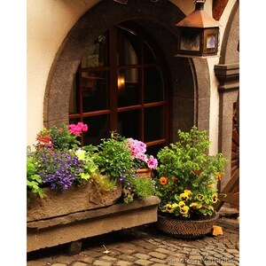 Fine Art Color Travel Photography of Flowers and Shop in Cochem, Germany