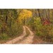 see more listings in the Missouri Nature Art section