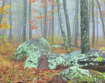 Fine Art Color Landscape Nature Photography of the Missouri Ozarks - "Autumn Fog On Taum Sauk Mountain 1"