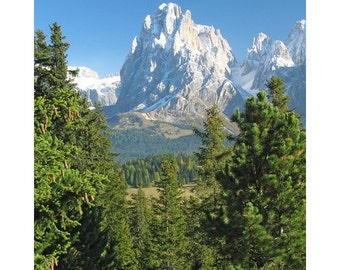 Fine Art Color Landscape Photography of Mountains - "Sasso Lungo Through the Trees" in the Dolomites of Italy