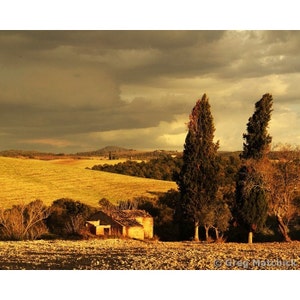 Fine Art Color Landscape Travel Photography of Tuscany Italy - &quot;Evening Sunlight Along the Road to Pienza&quot;