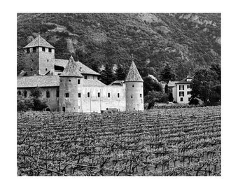 Fine Art Black & White Photography of Vineyard - "Castello Mareccio and Vineyard" (Italy)