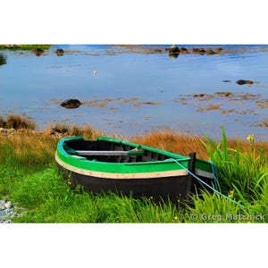 Fine Art Color Travel Photography of Green Boat in Ireland  &quot;Green Boat Among the Irises&quot;
