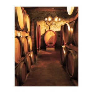 Fine Art Color Travel and Wine Photography of Tuscany - &quot;Wine Cellar at a Brunello Winery in Tuscany&quot;