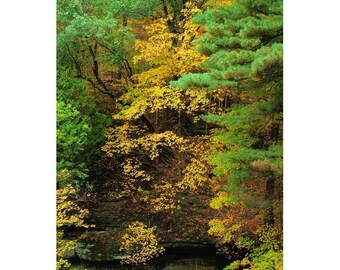 Fine Art Color Autumn Nature Photography of Starved Rock State Park in Illinois - "Fall Colors Above a Canyon"