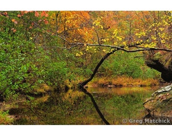 Fine Art Color Nature Landscape Photography of Hawn State Park in Missouri - "Autumn Serenity on Pickle Creek 3"