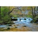see more listings in the Missouri Nature Art section