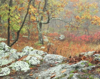 Fine Art Color Landscape Nature Photography of the Missouri Ozarks - "Autumn Fog On Taum Sauk Mountain 2"