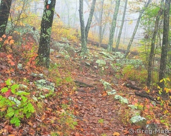 Autumn Fog On the Mina Sauk Trail 3 Fine Art Color Landscape Nature Photography of the Missouri Ozarks