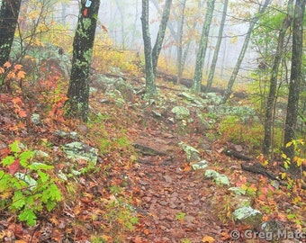 Fine Art Color Landscape Nature Photography of the Missouri Ozarks - "Autumn Fog On the Ozark Trail 4"