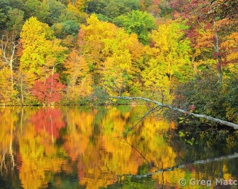 Fine Art Color Landscape Photography of Autumn Reflections at Bear Mountain State Park in New York - "Autumn Reflections on Hessian Lake 1"