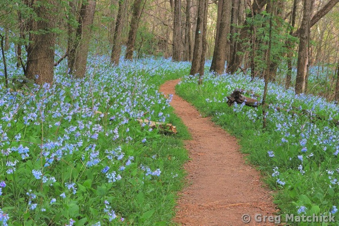 Spring landscape deals