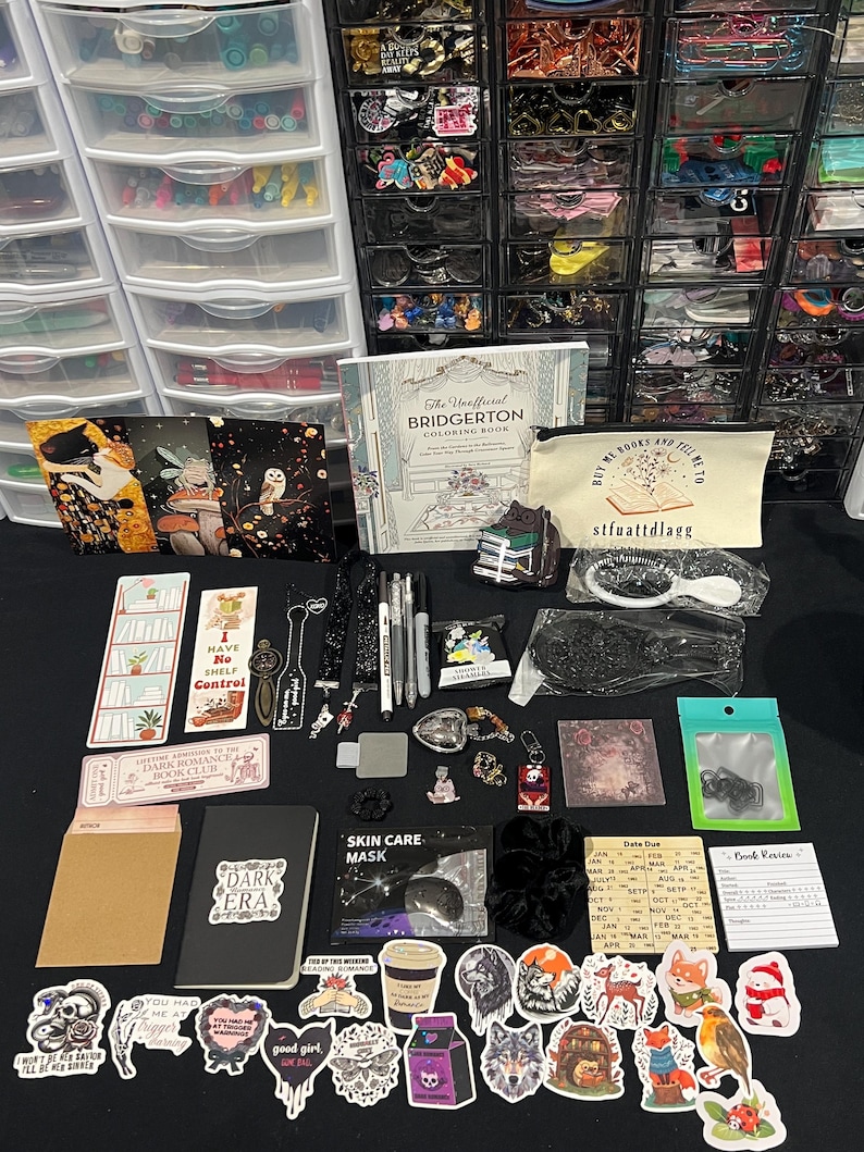 May include: A collection of book-themed items including The Unofficial Bridgerton Coloring Book, a canvas pouch with the text Buy Me Books And Tell Me To stfuattdlagg, various bookmarks, stickers, pins, a black notebook, a skincare mask, and hair accessories.