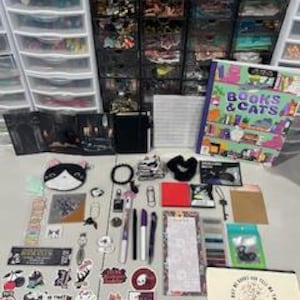 May include: A collection of stationery and craft items including a Books & Cats book, a cat-shaped coin purse, various stickers, pens, a notepad, a canvas pouch with the text 'Buy me books and tell me I'm pretty', and assorted small metal accessories.