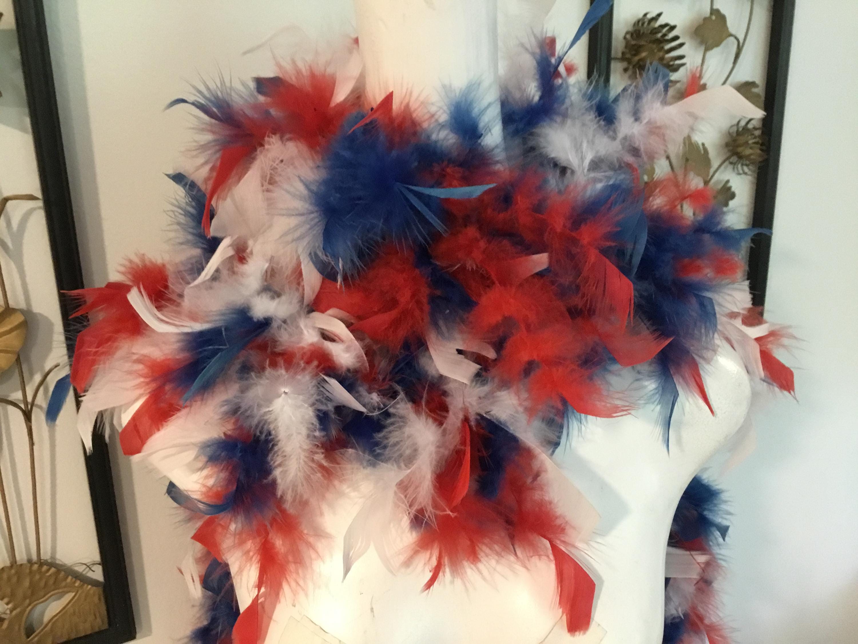 Red Feather Boa Red White and Blue Feathers From a Red Hat Lady ...