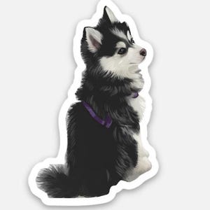 Pomsky Puppy Stickers | Cute Husky Mix Dog Sticker | Blue Eyed Puppy Vinyl Sticker | Dog Lover Gift | Laptop Water Bottle Sticker