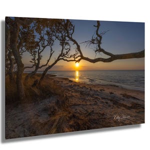 May include: A landscape photograph depicts a sunset over a tranquil sea. The image is framed by silhouetted tree branches, with the bright orange sun setting on the horizon. A sandy beach and dune grass are in the foreground.