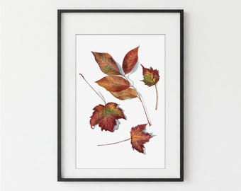 Bruine herfstbladeren, gicleeprint, botanisch, aquarel, Fine Art Print, bladeren