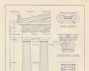 Diagramme BW des colonnes du Parthénon, croquis d'architecture BW des années 1950 de l'ordre dorique et du chapiteau corinthien ionique dans un temple grec ancien