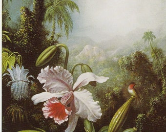 Hummingbird in jungle with orchids lush plants, vintage print of oil painting  circa 1865, tropical natural history bird decor for airbnb