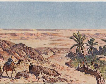 Painting of Sahara desert with oasis, African landscape, 1914 antique print from German geography book