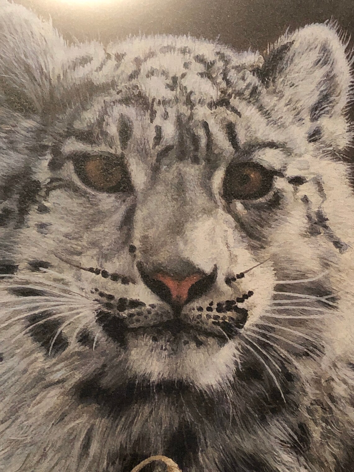 Snow Leopard Spiritual Heir by Charles Frace lithograph | Etsy