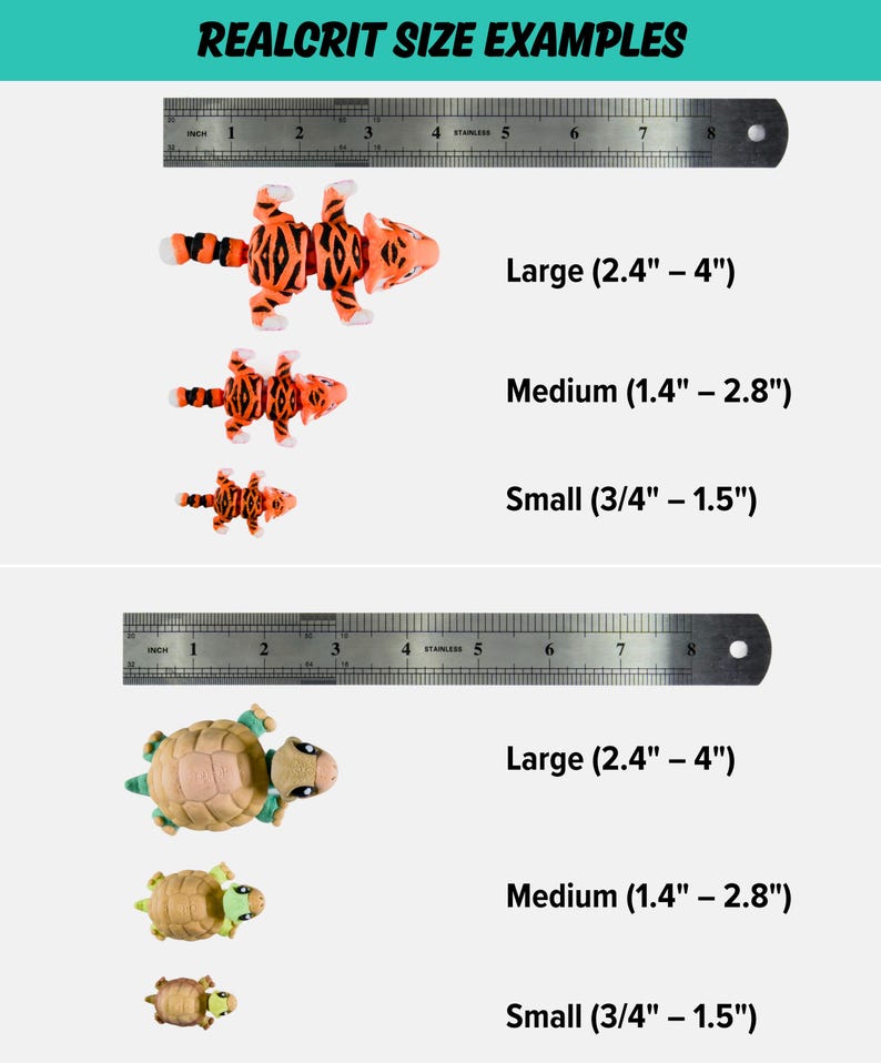 size examples of various objects, including a toy tiger, a toy turtle, and a toy snake, along with corresponding ruler measurements.