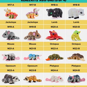 a collection of toy animals, including a jaguar, jackalope, lamb, mouse, octopus, opossum, platypus, and a raccoon, along with their corresponding toy names.