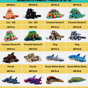 a collection of stuffed animal toys, including various types of animals such as cats, geckos, dogs, ferrets, sharks, and snakes.