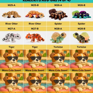 The image is a collage of four images, each featuring a different plush toy, including a river otter, spider, tiger, and tortoise, along with a dog wearing sunglasses.