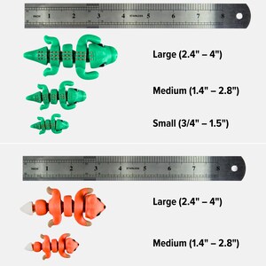 size examples of different objects, including toy lizards and toy animals, along with their corresponding measurements.