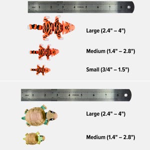 size examples of various objects, including a toy tiger, a toy turtle, and a toy snake, along with corresponding ruler measurements.
