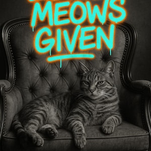 May include: A grayscale image features a tabby cat lounging on a tufted armchair. Above the cat, the neon text "ZERO MEOWS GIVEN" is displayed in turquoise with an orange outline, creating a striking contrast.