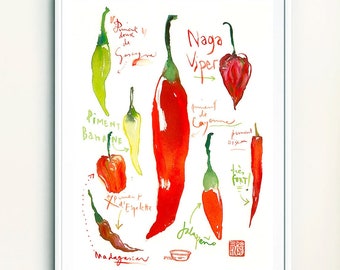 Red hot chili pepper print, Watercolor painting, Red kitchen decor, Food art, Kitchen wall art, Jalapeno poster, Mexican vegetable art print
