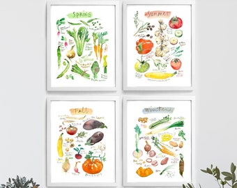 Légumes des 4 saisons, Illustration aquarelle potager d'hiver, printemps, été, automne - Décoration pour la cuisine