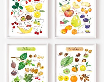 Seasonal Fruit Art Prints: Watercolor Kitchen Wall Decor, Set of 4