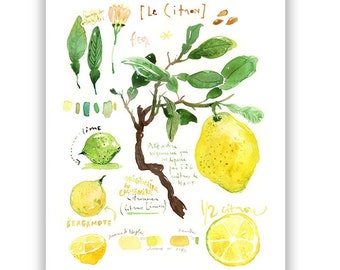 Lemon print, Watercolor painting, Fruit illustration poster, Yellow kitchen art, Bright home decor, Citrus artwork, 8X10 Food wall art print