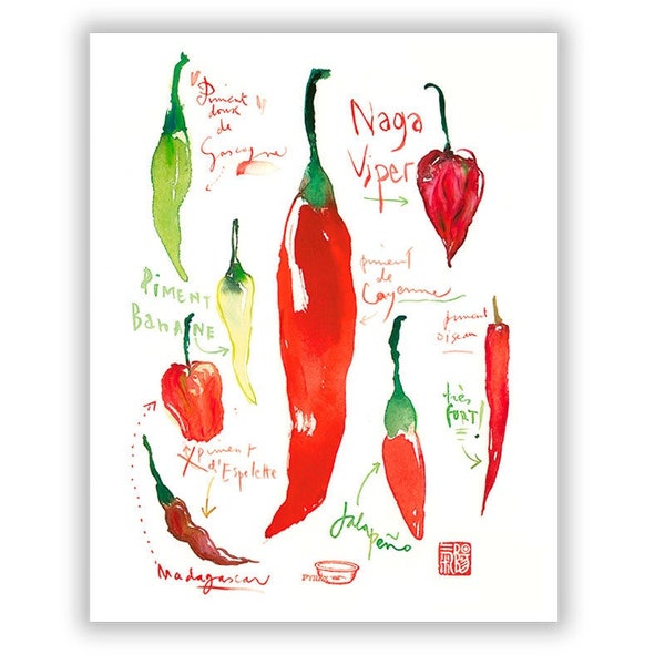 Les piments rouges, aquarelle, décor cuisine, Tex Mex, poster A4, Cuisine mexicaine, Piment oiseau, Antilles,