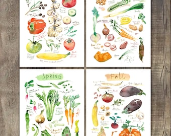 May include: A set of four watercolor prints depicting seasonal produce. Each print is labeled Summer, Winter, Spring, or Fall and features hand-painted illustrations of various vegetables and herbs with handwritten labels identifying each item.