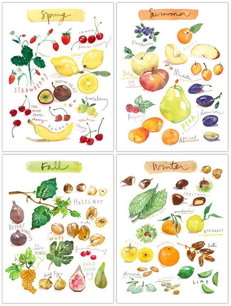 Image result for seasons food