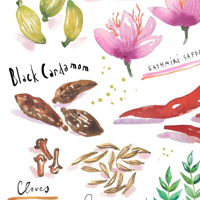 Indian Spices Watercolor Illustration Print Condiment Poster Etsy