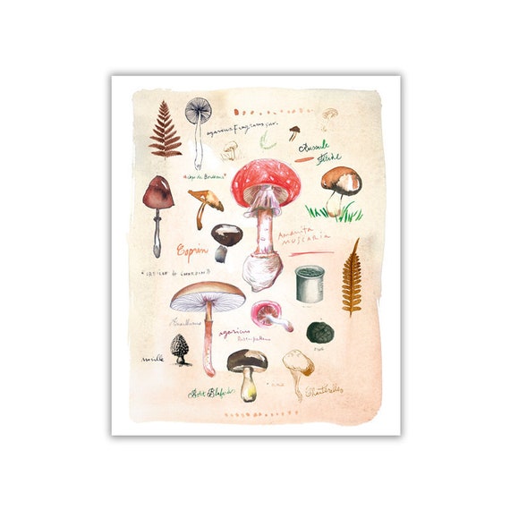 Mushroom chart poster Kitchen art Seasonal artwork Food | Etsy