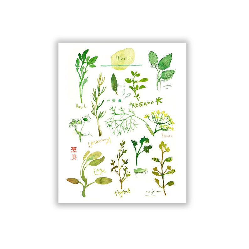 Herb Print With Mint Watercolor Herb Poster Kitchen Wall Etsy